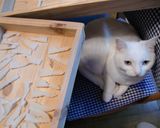 正月餅であられ3種作り方2写真