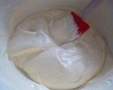 簡単美味しい!はちみつレモンアイス作り方4写真