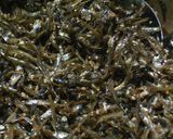 我が家の佃煮♪作り方3写真