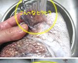 美味しく作ろう【鯛のあら炊き】処理付作り方2写真