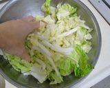 白菜タップリもりもり！白菜と人参サラダ作り方1写真