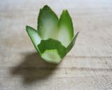お弁当に❤オードブルに❤きゅうりカップ作り方7写真