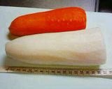 あつあつ!モツ煮込み作り方1写真