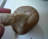 包丁不要！！椎茸の軸の簡単で綺麗な外し方作り方1写真