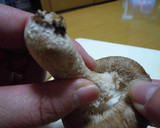 包丁不要！！椎茸の軸の簡単で綺麗な外し方作り方2写真