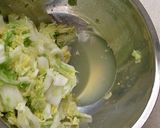 昆布茶と一味唐辛子で簡単！白菜の漬物作り方3写真