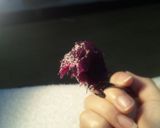 運気ＵＰ！紫芋のパープル栗きんとん作り方8写真
