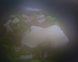 ゴーヤーチャンプルー作り方4写真
