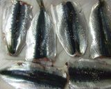 ☆いわしの香草パン粉焼き☆作り方2写真
