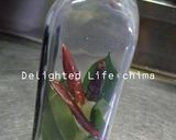 とっても重宝☆にんにく醤油作り方1写真