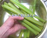 まずは蕗の処理からね♪【蕗の下処理】作り方8写真