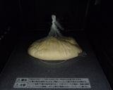 袋で簡単ふわふわパン・２００ｇバージョン作り方5写真