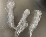 クリーミートマト味噌味豆腐入ナムル風煮作り方3写真