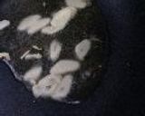 こんにゃく麻婆作り方7写真