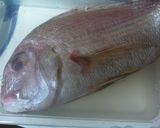 葱油鮮魚（鮮魚の葱、生姜味蒸し）作り方1写真
