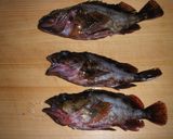 カサゴのカレー煮作り方1写真