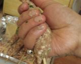 インドのラム肉のケバブ/コフタ(肉団子)作り方5写真