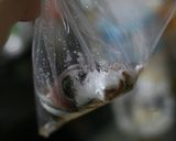あじの南蛮漬作り方6写真