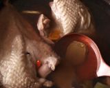 身体に優しい*黒米入り鶏の煮込みスープ。作り方2写真