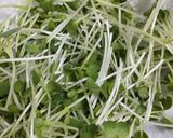 簡単!アレンジ♪中華風サラダ作り方3写真