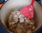 鶏肉とじゃが芋のトマト煮込み作り方2写真