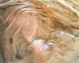 簡単手抜き　タンドリーチキン作り方1写真