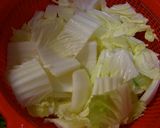 シャカシャカ白菜 !!!作り方1写真