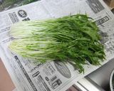 超長持ち！★葉物野菜の延命法作り方5写真