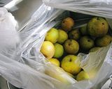 自家製の梨ジャム作り方1写真