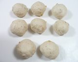 ふわふわくるみパン～シナモンシュガー♪作り方3写真