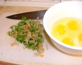 アメリカ　切干と香菜のベトナム風オムレツ作り方1写真
