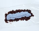 チョコサラミアイス作り方11写真