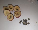 【崩壊スターレイル】玉実鳥串作り方2写真