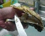カキの赤ワインビネガー作り方5写真