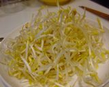 もやしとササミの節約ギョーザ☆作り方1写真