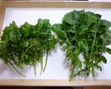 ●ルッコラのニンニク炒め●作り方1写真