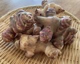 トピナンプールのブランマンジェ作り方1写真