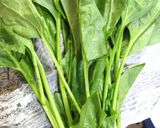 超長持ち！★葉物野菜の延命法作り方12写真