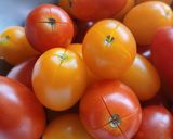 ミニトマトの出汁びたし作り方1写真