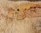 意外と簡単!ヒレカツ作り方3写真
