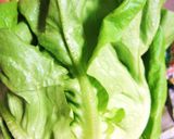 超長持ち！★葉物野菜の延命法作り方13写真
