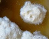 伊勢芋と豆腐のすり下ろし鍋作り方4写真
