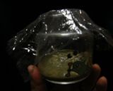 牡蠣の塩辛を食べたことあるひとーッ作り方5写真