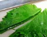 手綱鮨作り方7写真
