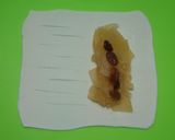 簡単♪　美味しい♡　アップルパイ（＾＾）作り方9写真