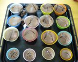 失敗なし♪ふわっ♪しっとりチョコマフィン作り方10写真