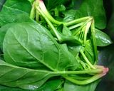 ほうれん草と油揚のサラダ作り方1写真