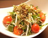 大根と水菜と長芋の居酒屋風じゃこサラダ作り方4写真