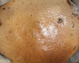 チョコチョコチーズケーキ作り方6写真