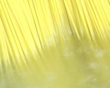 パパの万能トマトソースでスパゲティ作り方2写真